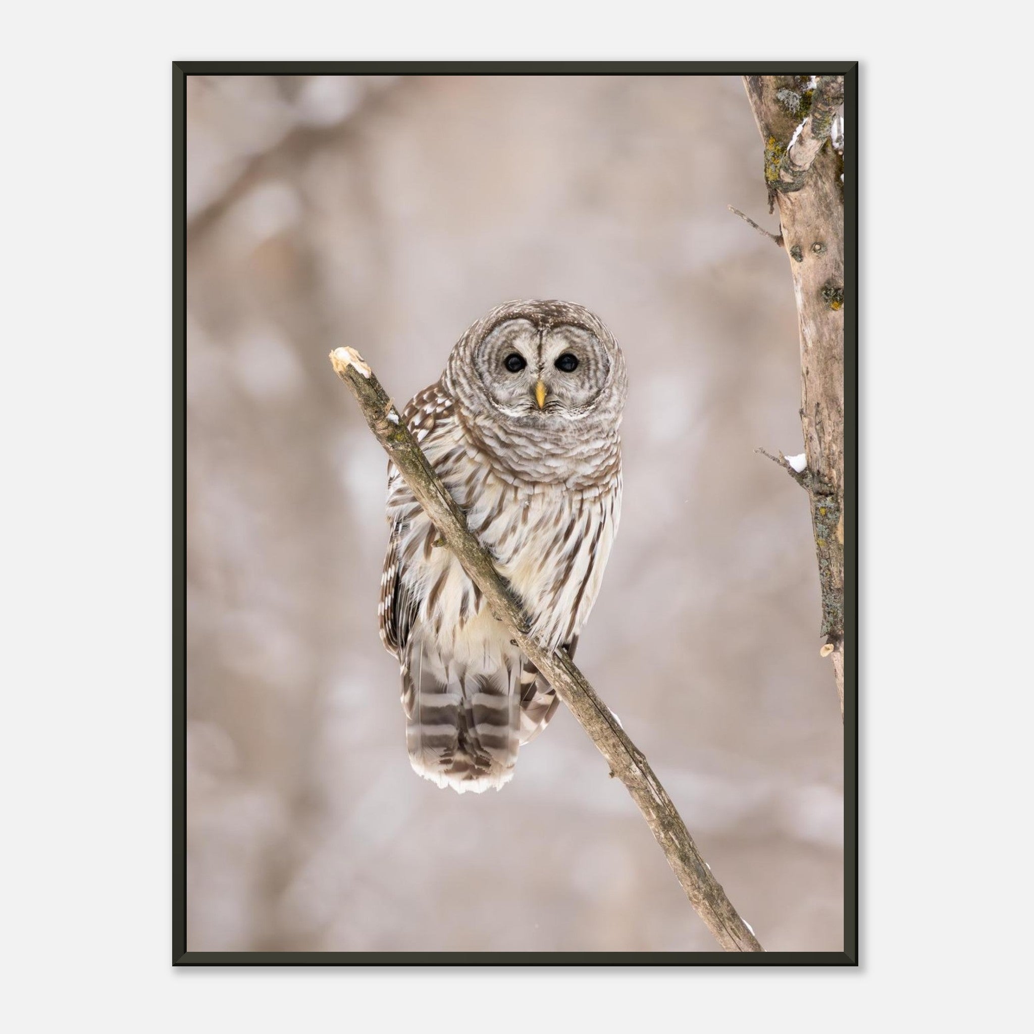 09c9d049-dabd-4bee-949f-144f9204924b