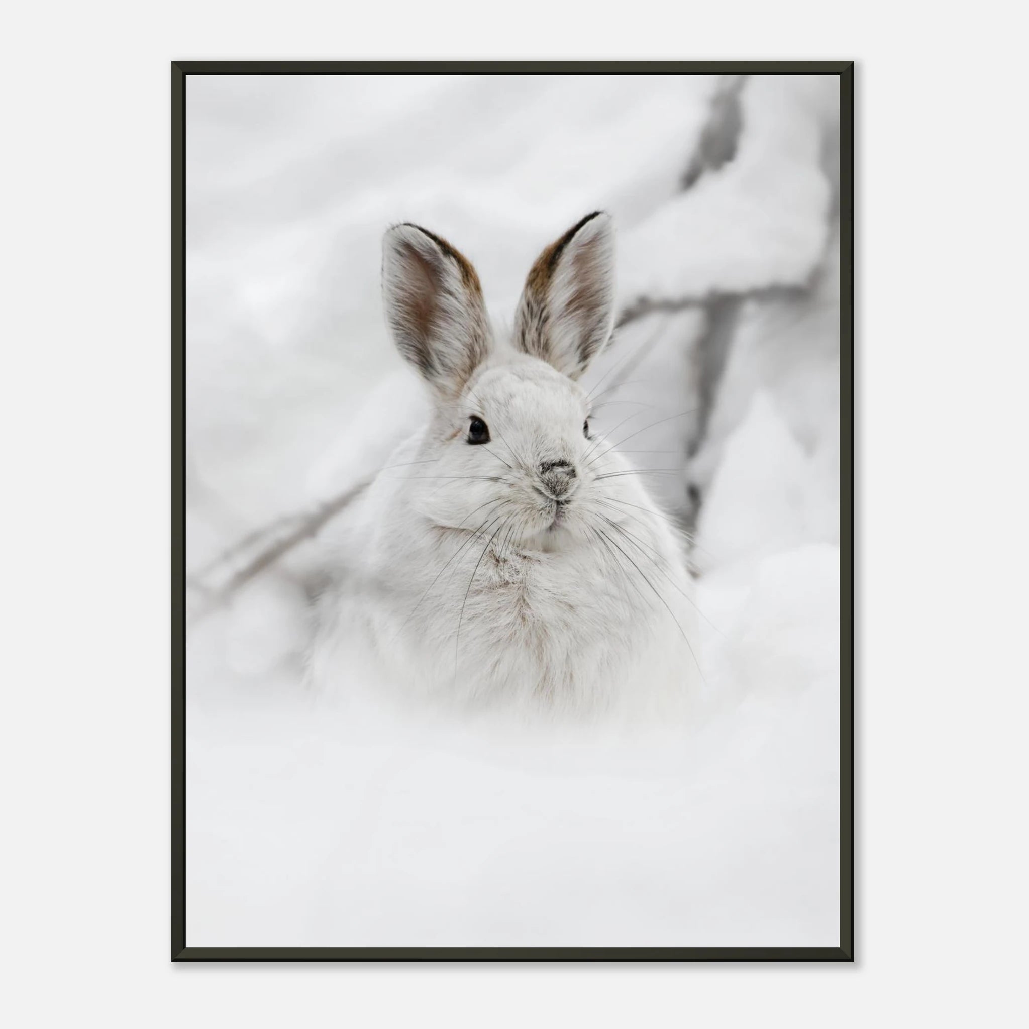 203239ab-7203-41ab-92bc-d771edbf8bad