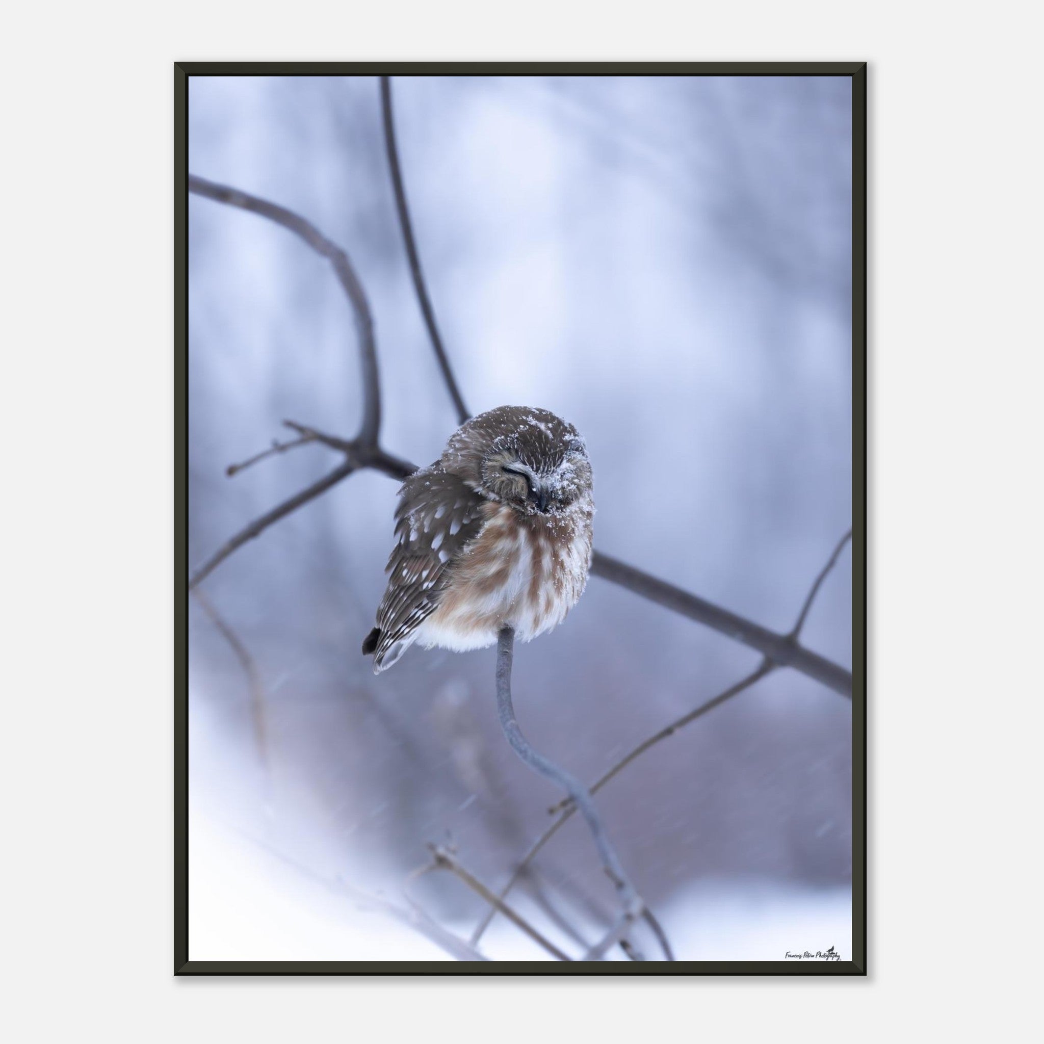 32cf0873-8c16-4fa6-9efd-766fe100f931