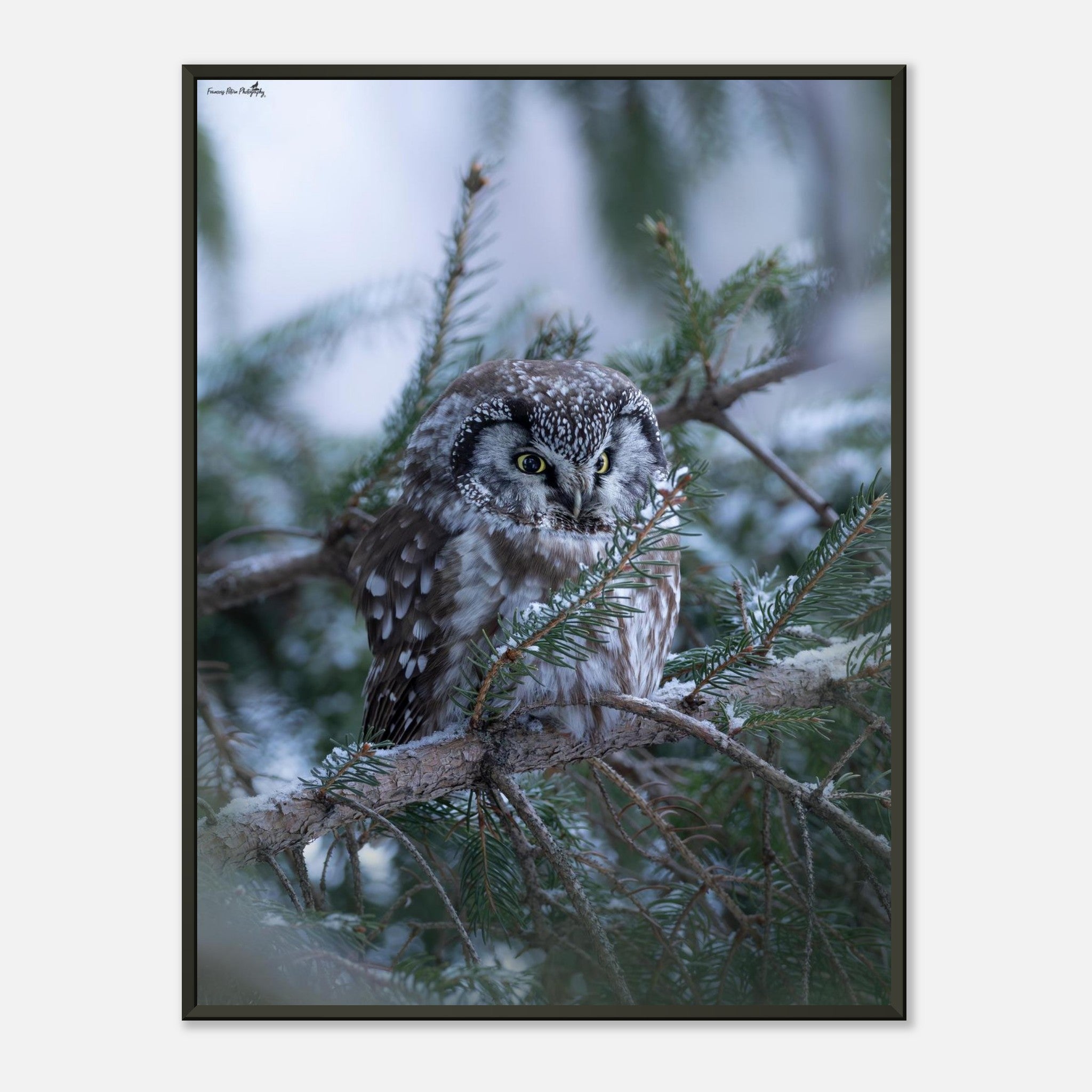 5489e5be-e64d-41cd-8741-666128e9108b