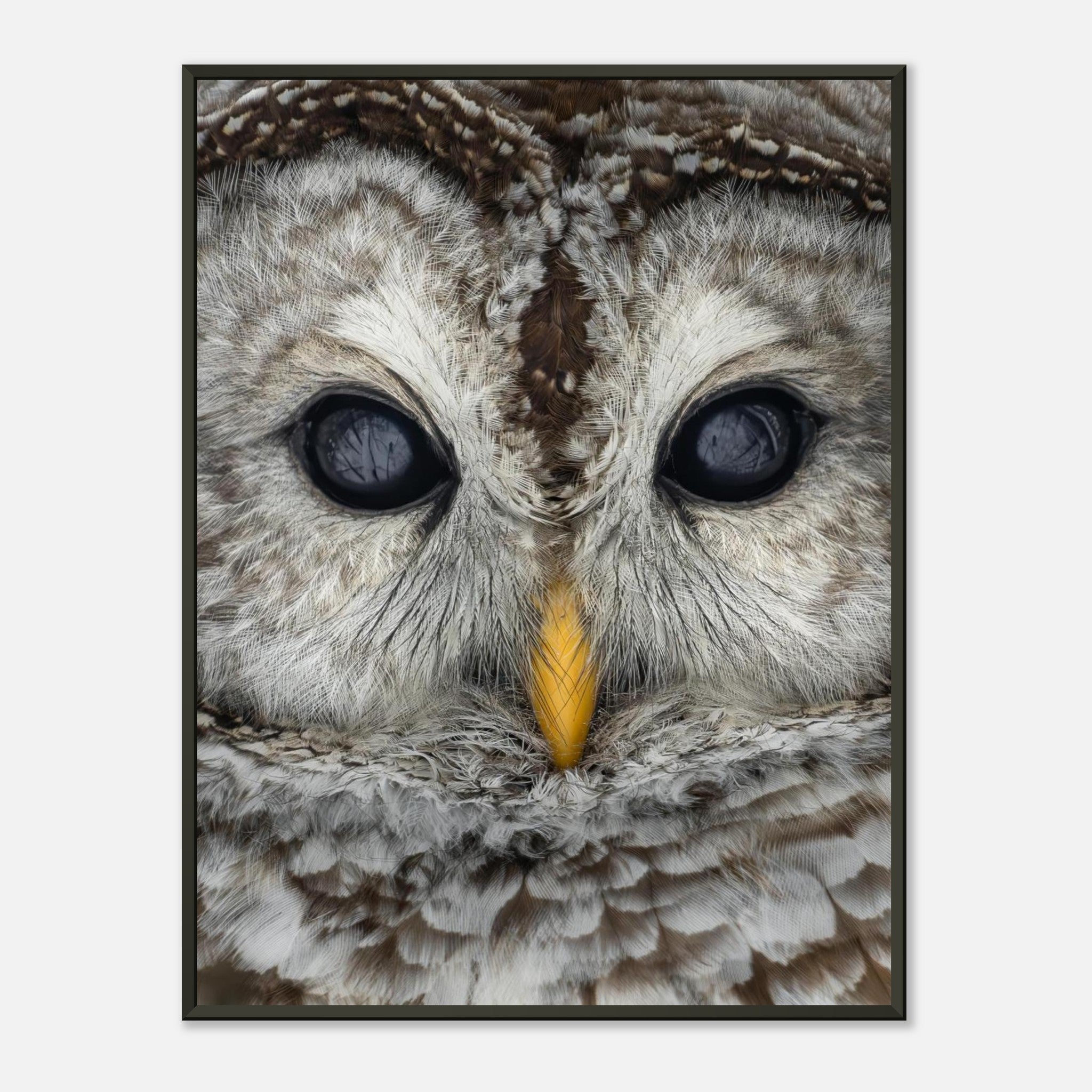 6cf277ea-1701-431f-8b46-edb040435752