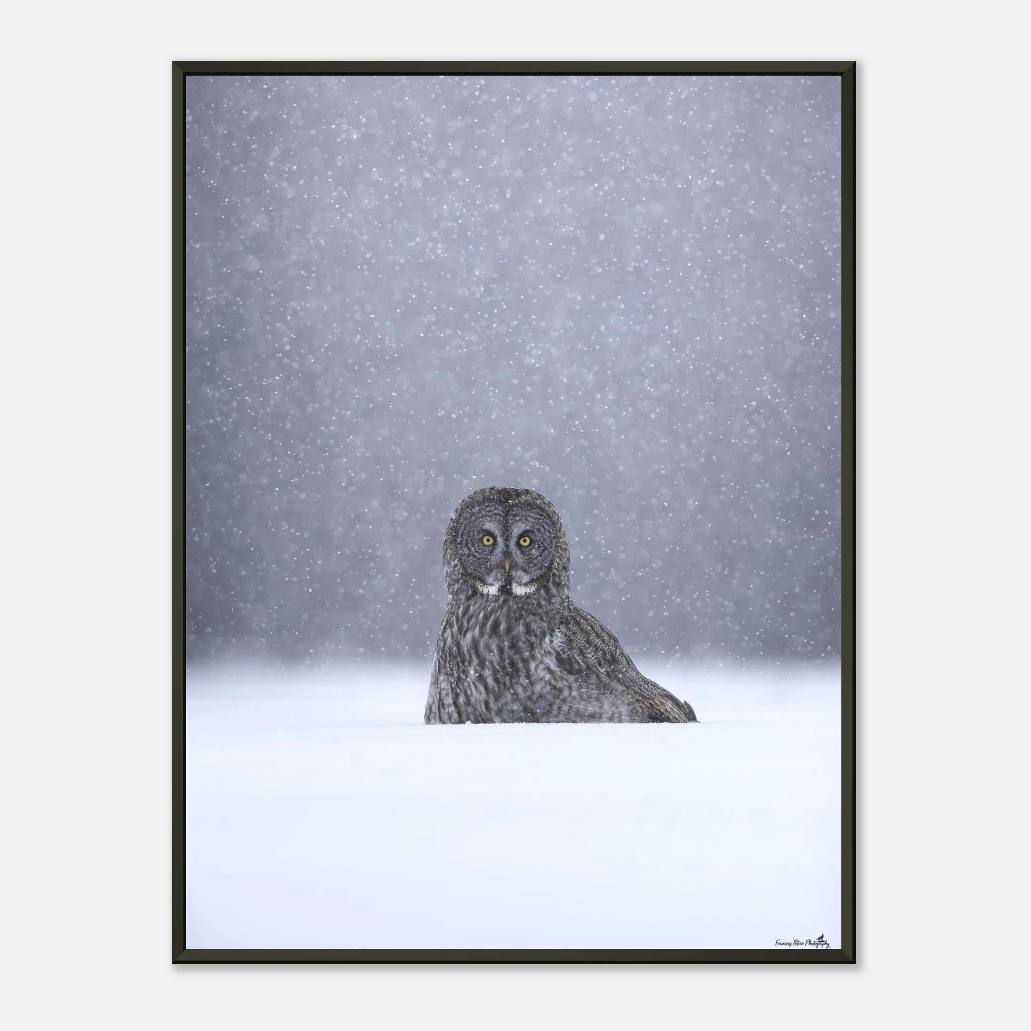 8f4253d9-2448-4e1c-be0b-397581b3ab1e