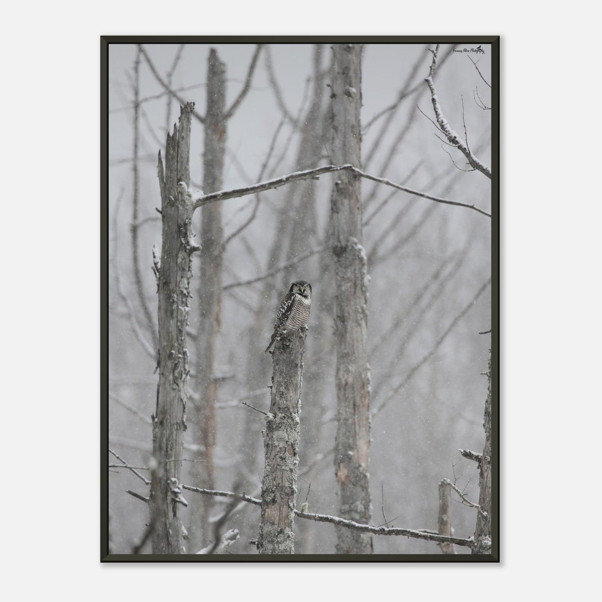 a64b0cab-5c71-46e0-add3-1c7f89284e29