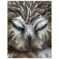 a995f24f-bd3e-4591-9956-f3d692efa081