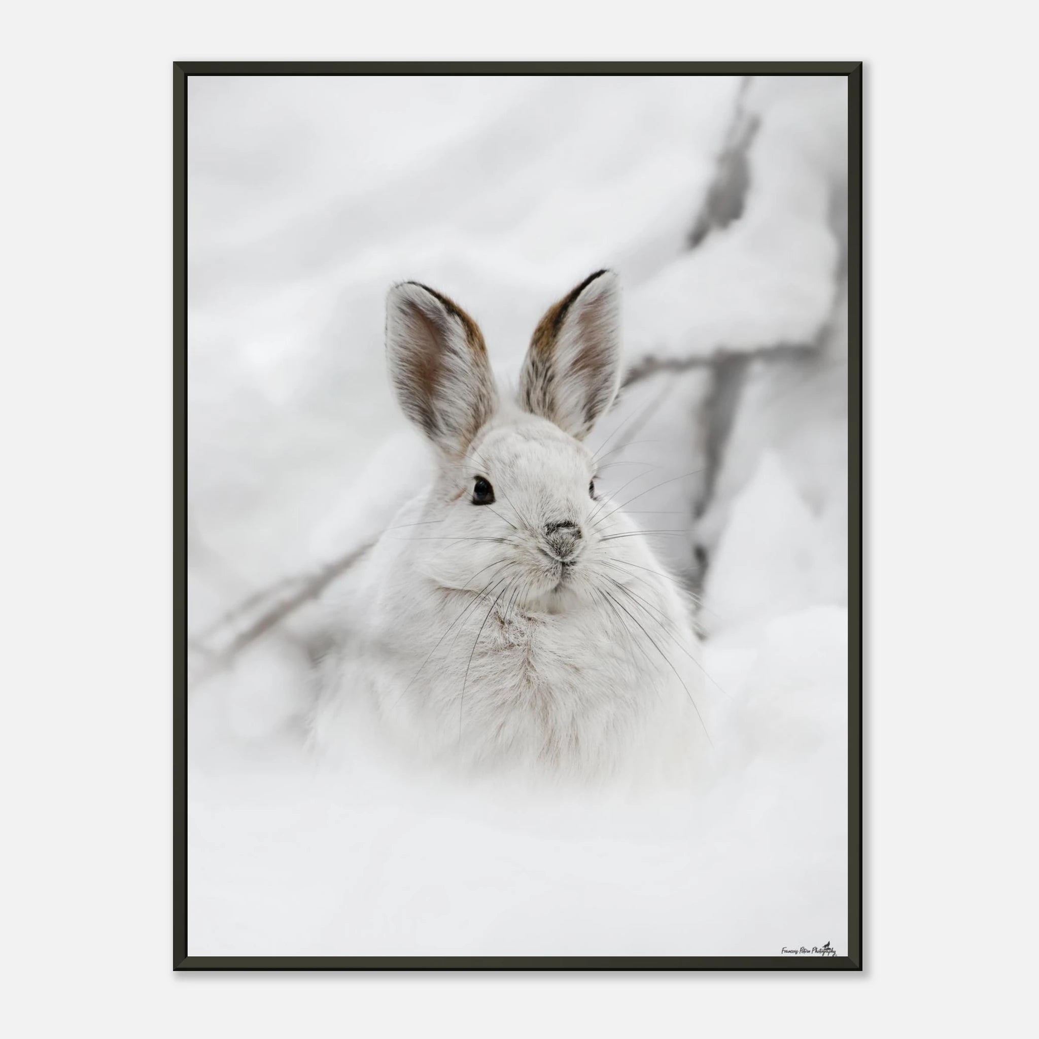 b18ed112-0cc7-41a6-a2ab-b0aed1955877