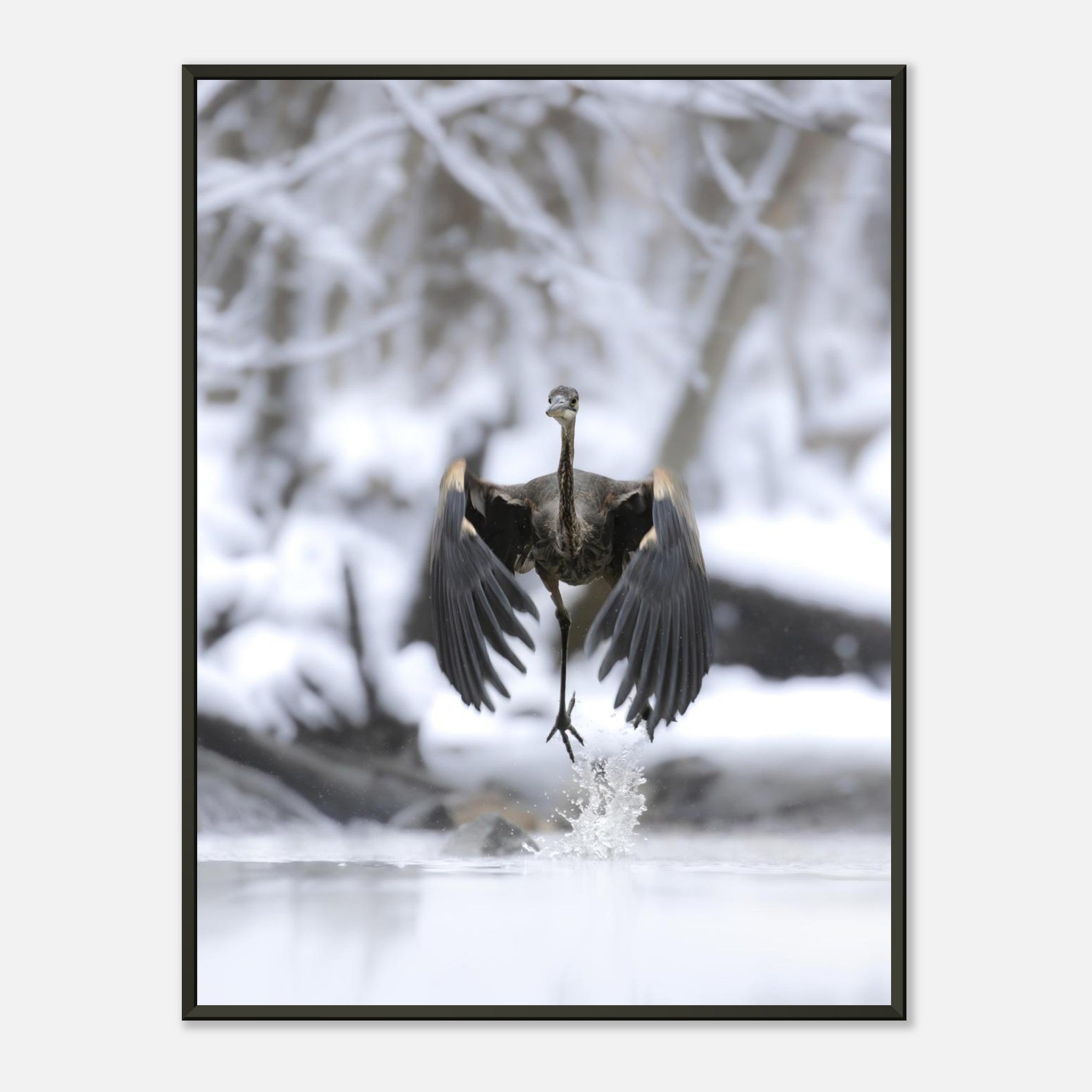 c9fa453e-4b86-4779-bab5-a218e40f89c3