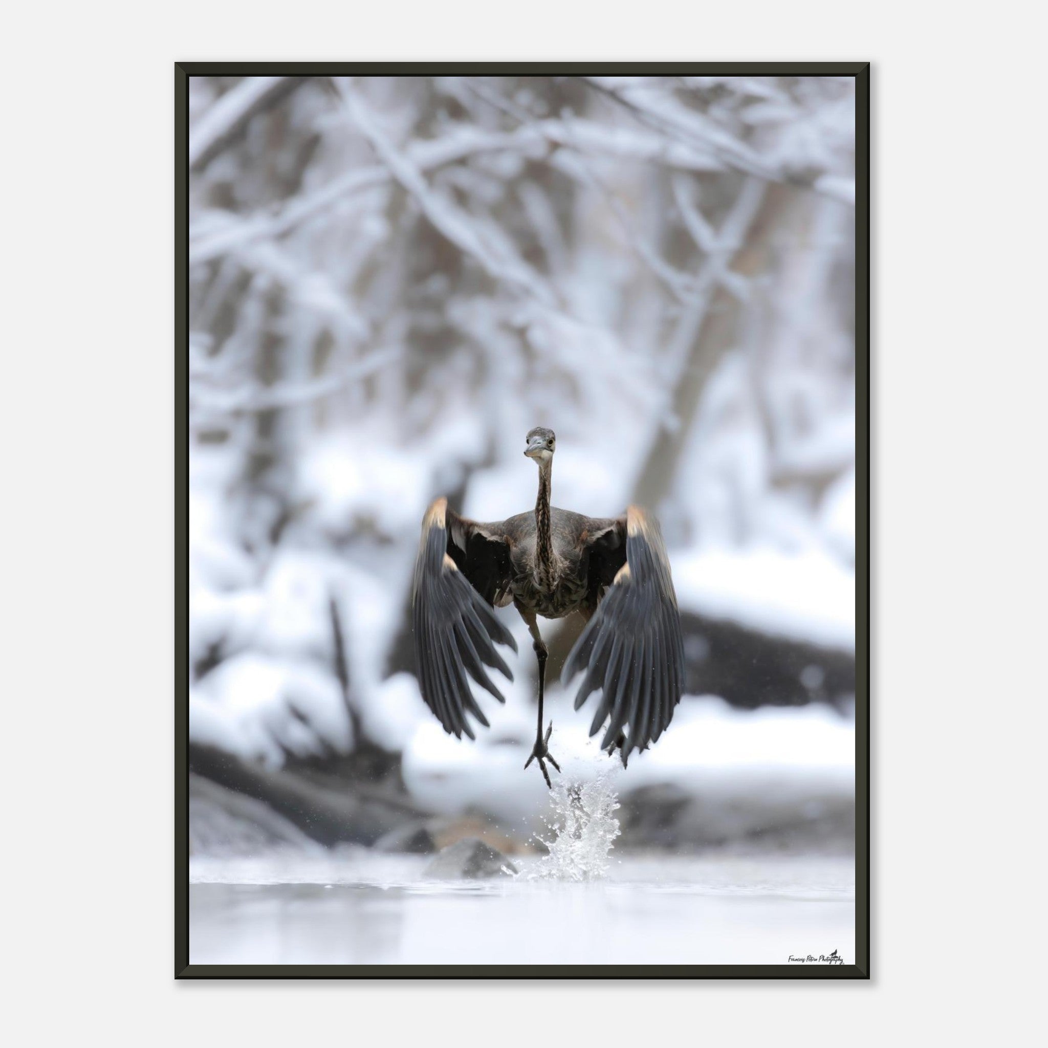 db144dad-9bfe-4462-99fb-d8ca11e6e3d0