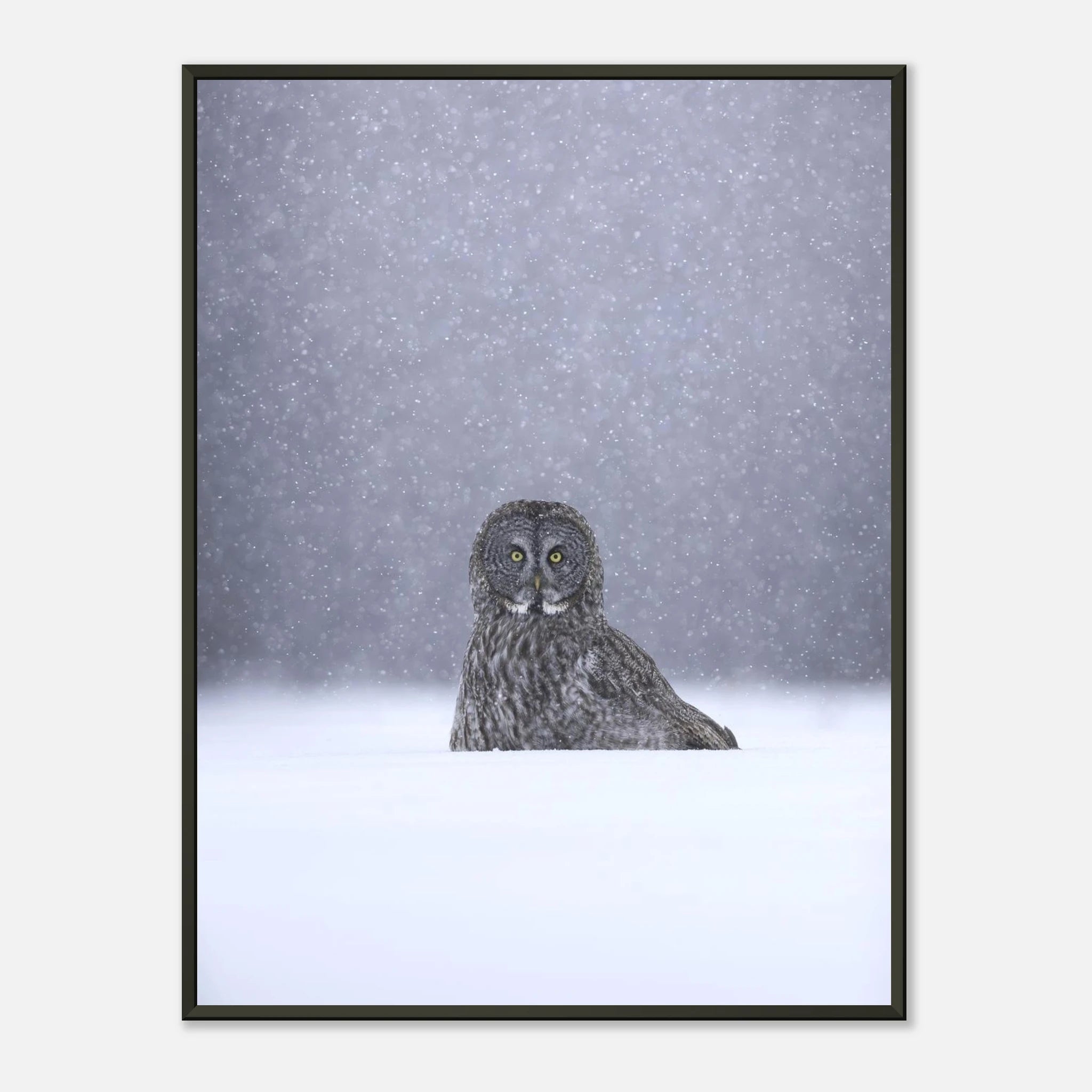 e73ef69a-9b4d-4cd0-b0e9-db86be05be29