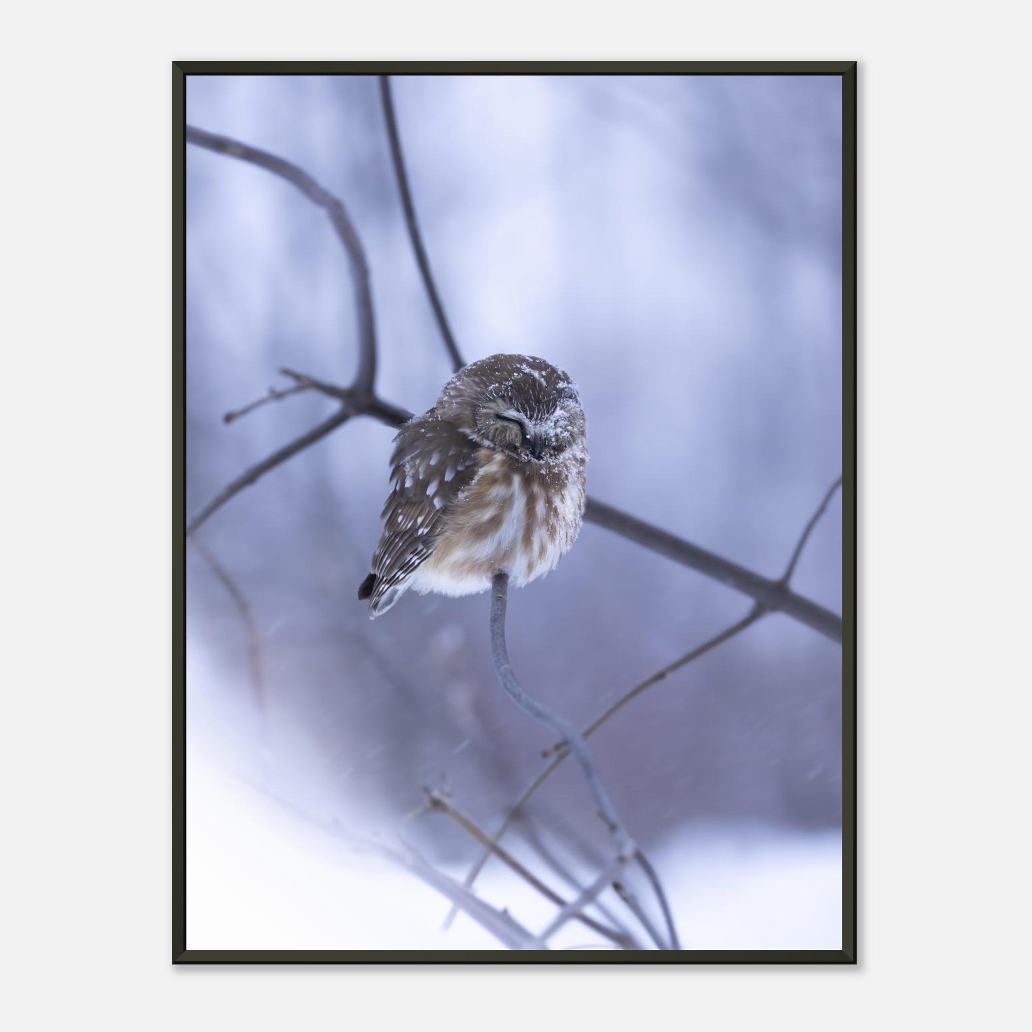 f807cc63-1bdb-41ba-b6fd-af03bc706660