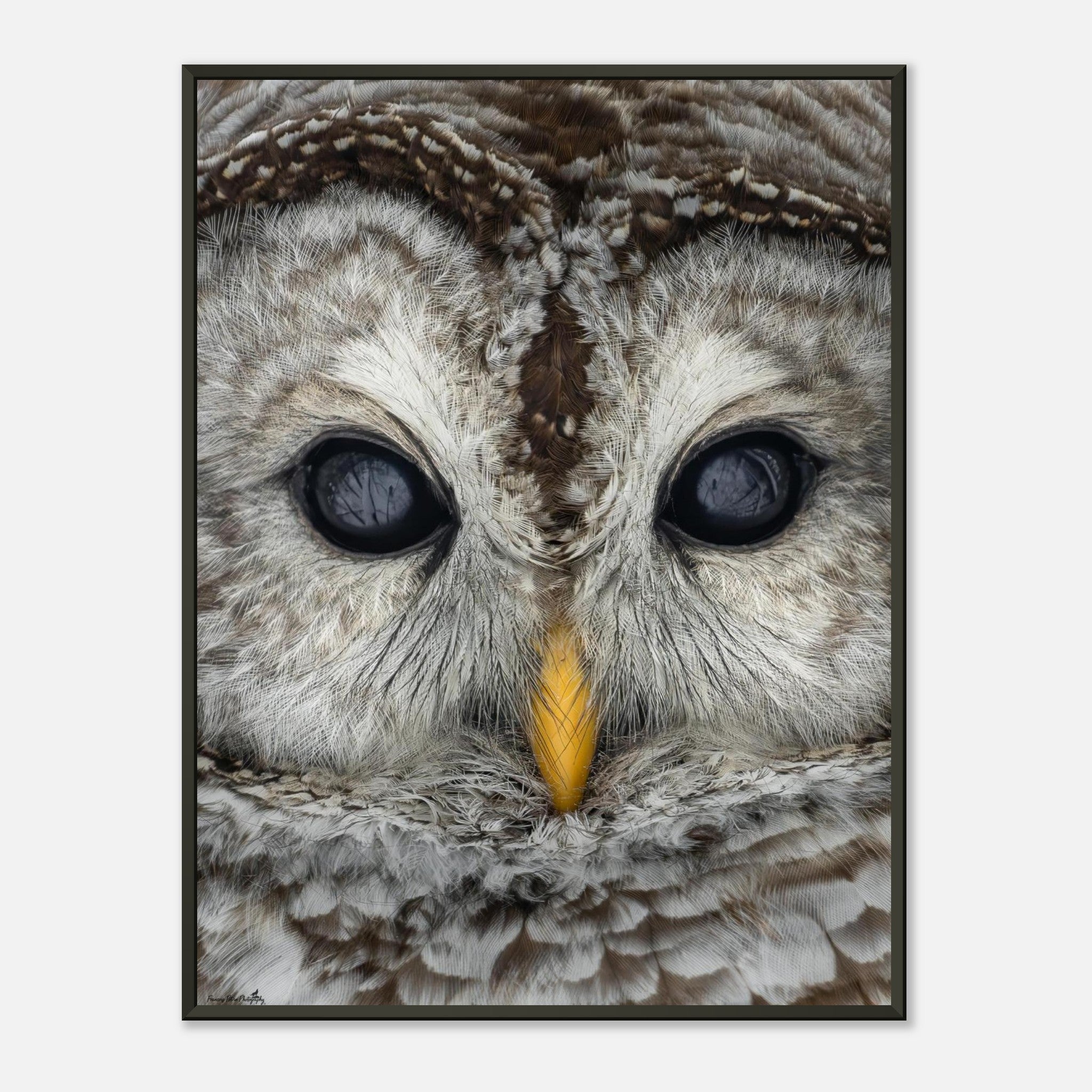 face8ee1-8179-4f8c-a030-dde26f29645d